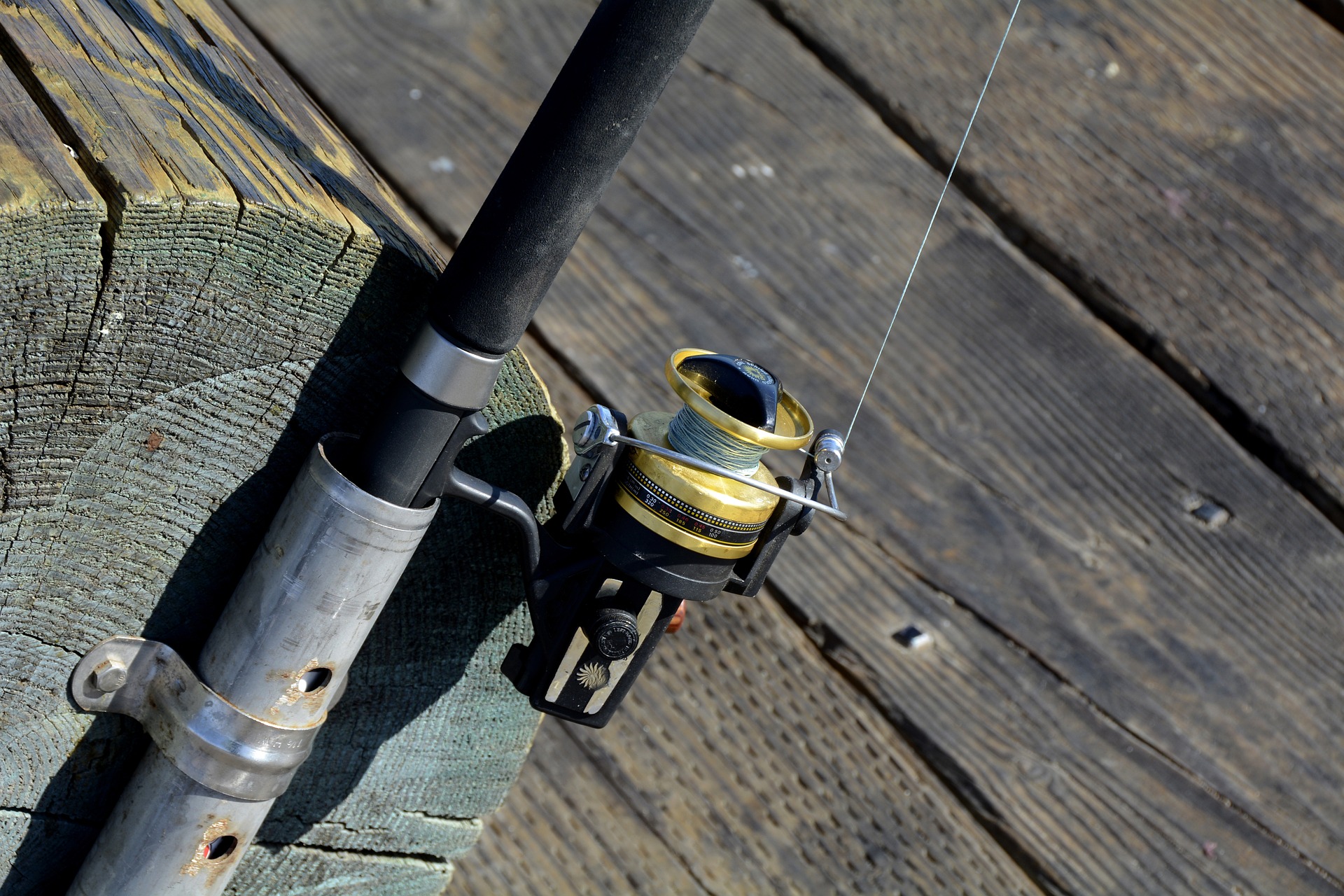 daiwa black