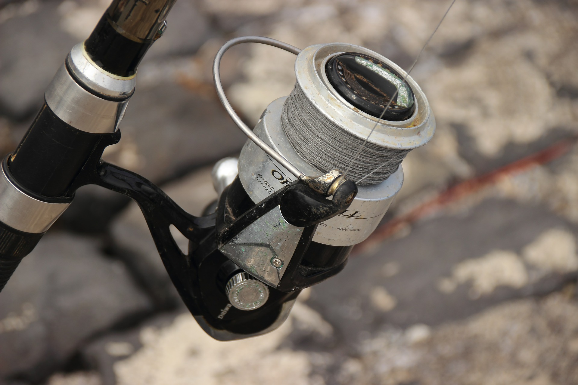 daiwa black